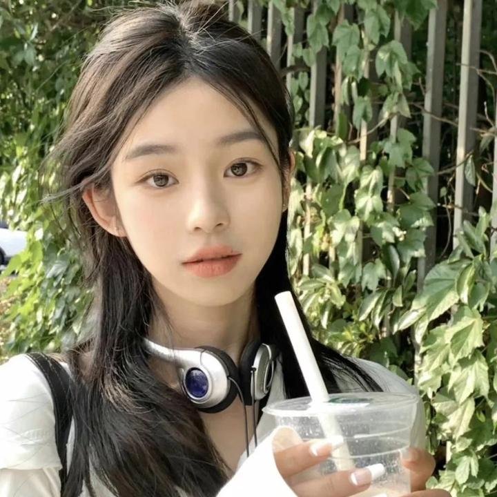 乱世伤痕:末代总督的秘密