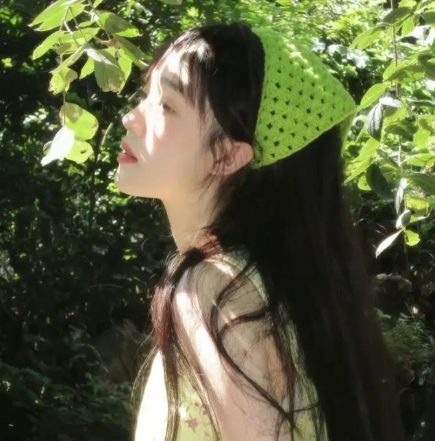 少年骑士